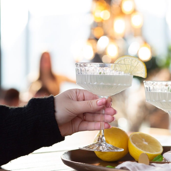 Ingrediënten voor de Tanqueray gin cocktail met citroenijs